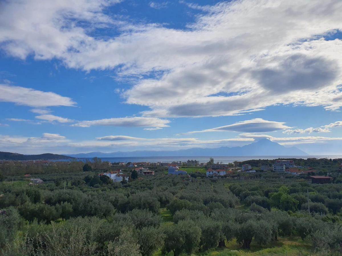 Sartivista Bed & Breakfast Bagian luar foto